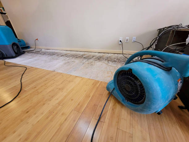 Professional Flood Damage Cleanup technician working in Waterloo, IN